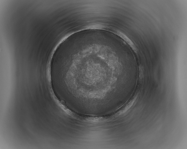 X0000112030939200908171448