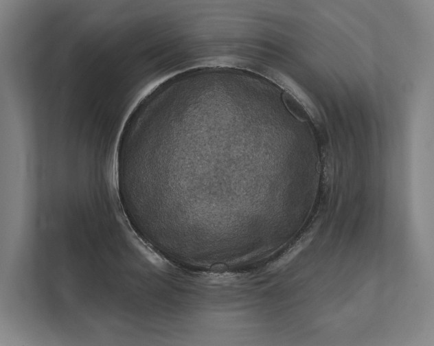 X0000112030940200908171448