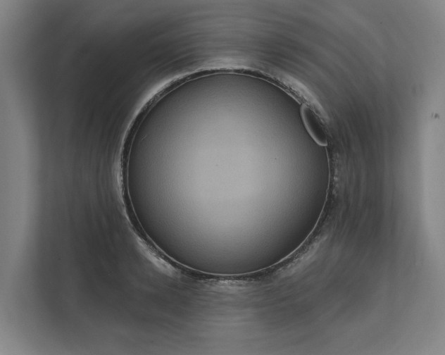X0000112030942200908171448