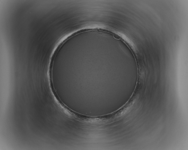 X0000112030943200908171448