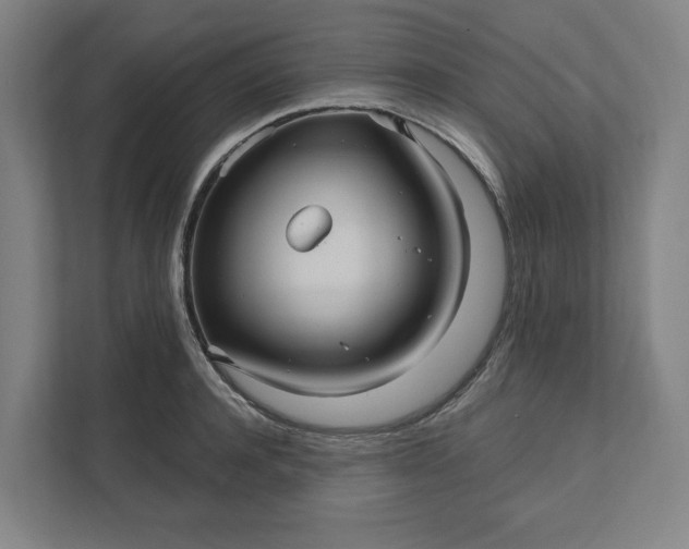 X0000112030944200908171448