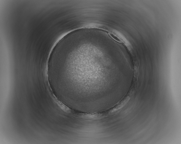 X0000112030948200908171448