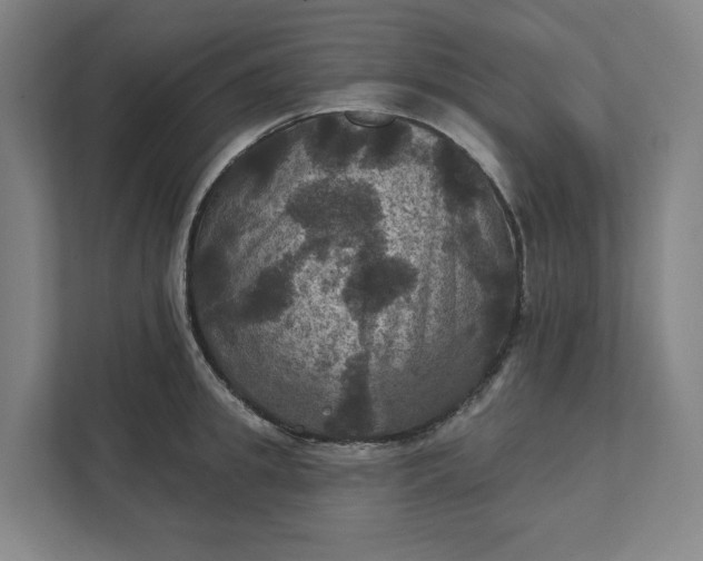 X0000112030949200908171448