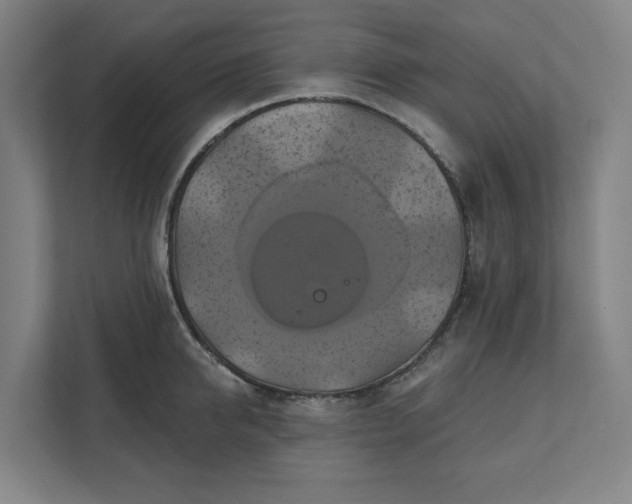 X0000112030950200908171448
