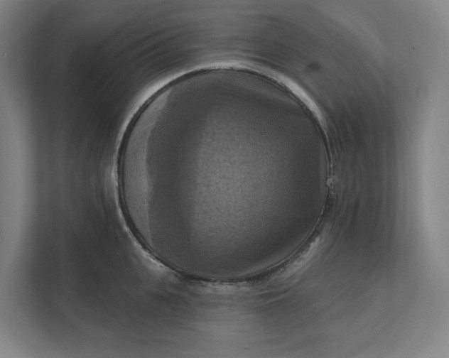 X0000112030951200908171448