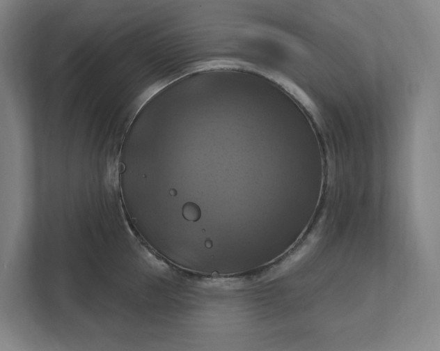 X0000112030953200908171448