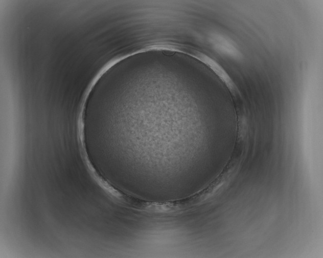 X0000112030955200908171448