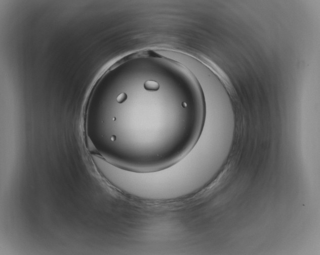 X0000112030956200908171448