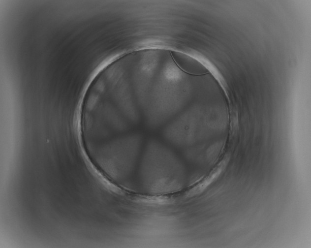 X0000112030957200908171448