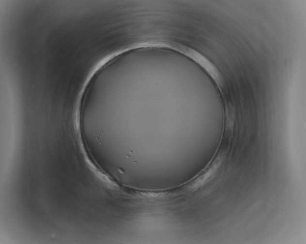 X0000112030958200908171448