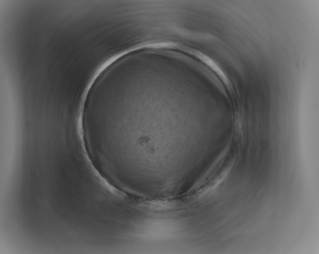 X0000112030959200908171448