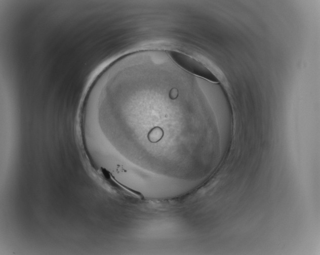 X0000112030960200908171448