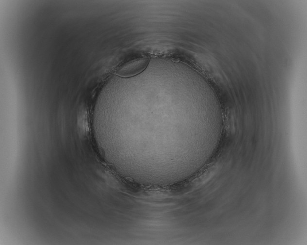 X0000112030962200908171448