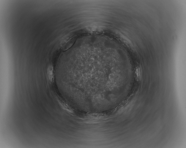 X0000112030963200908171448