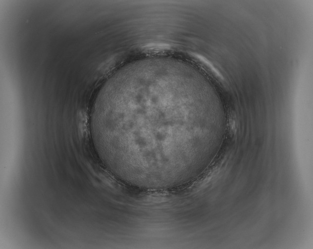 X0000112030964200908171448