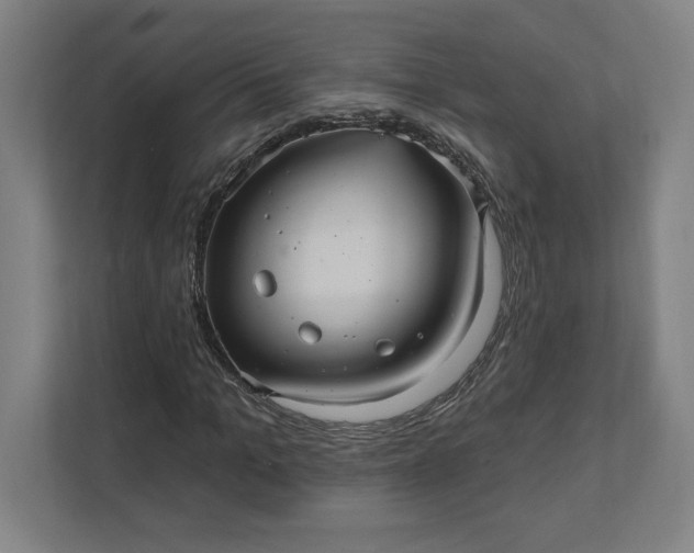 X0000112030965200908171448