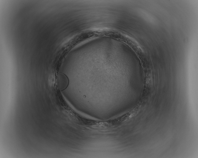X0000112030966200908171448