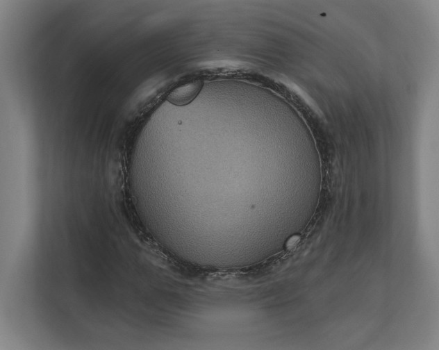 X0000112030967200908171448