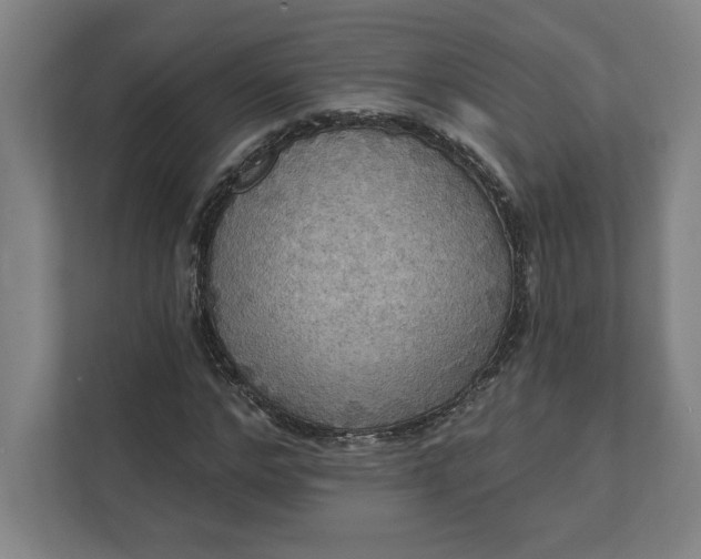 X0000112030968200908171448