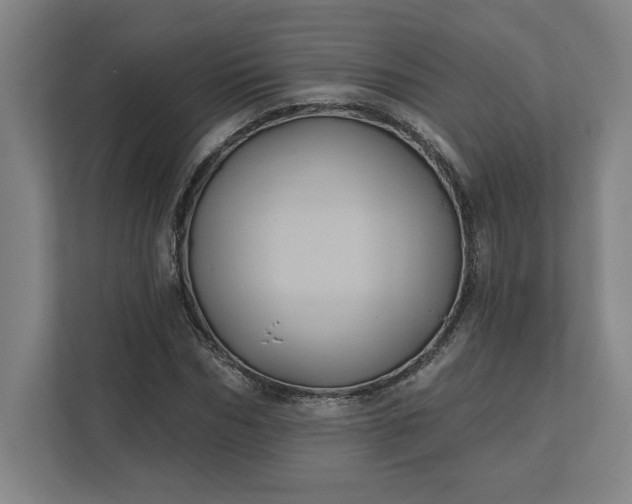 X0000112030970200908171447