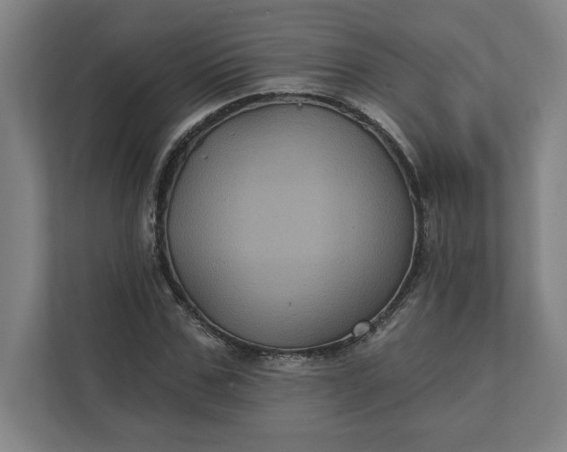 X0000112030971200908171447
