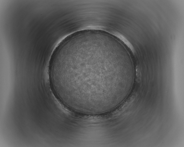 X0000112030972200908171447