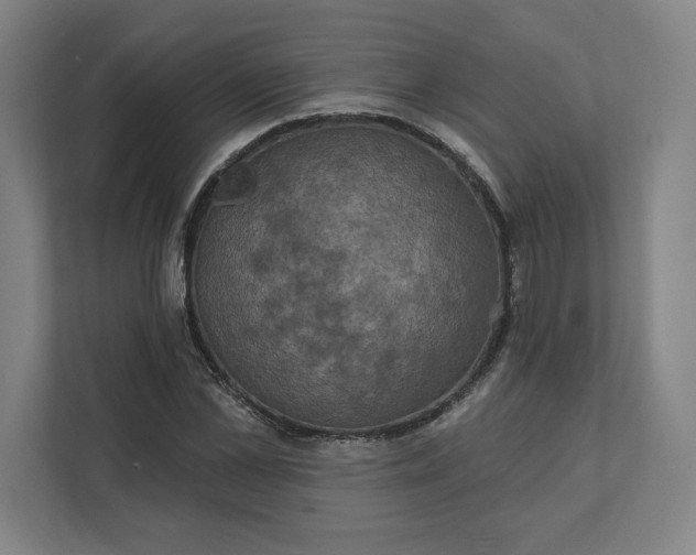 X0000112030973200908171447