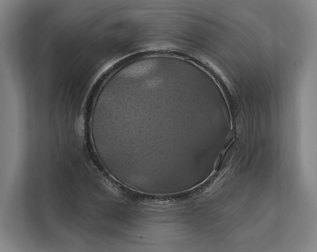 X0000112030975200908171447