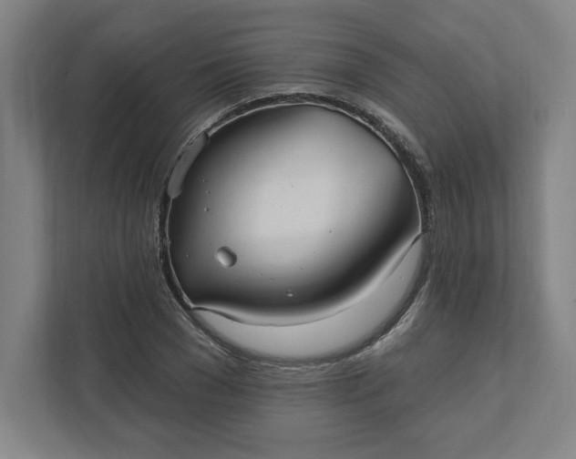 X0000112030977200908171447