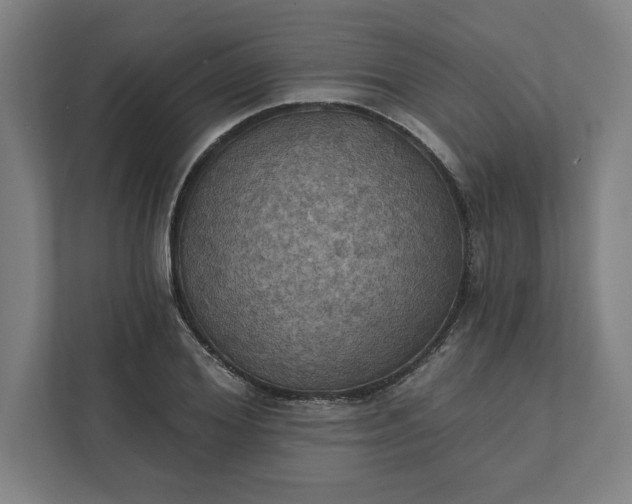 X0000112030980200908171447