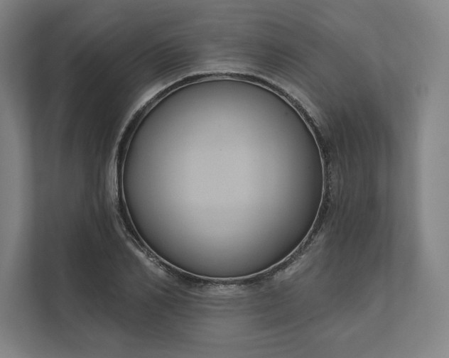 X0000112030982200908171447