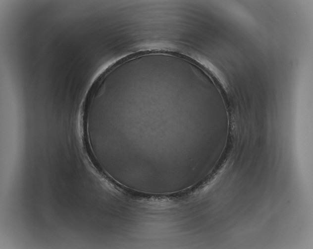 X0000112030983200908171447