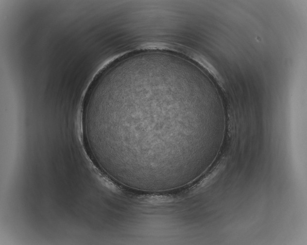 X0000112030984200908171447