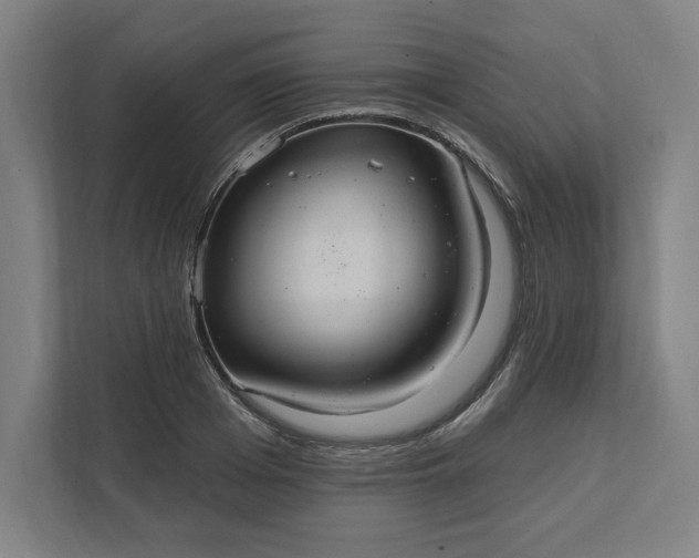 X0000112030985200908171447