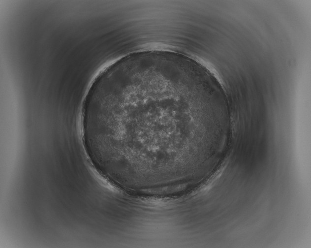 X0000112030987200908171447