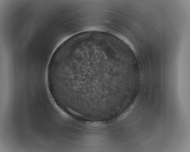 X0000112030991200908171447