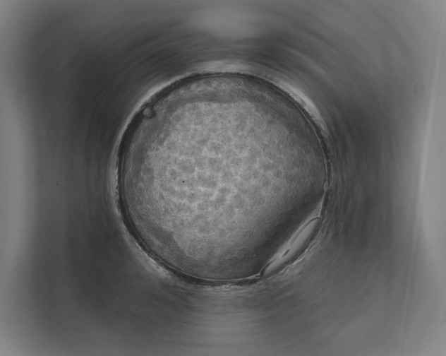 X0000112030992200908171447