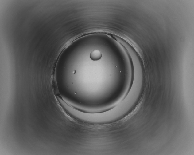 X0000112030993200908171447