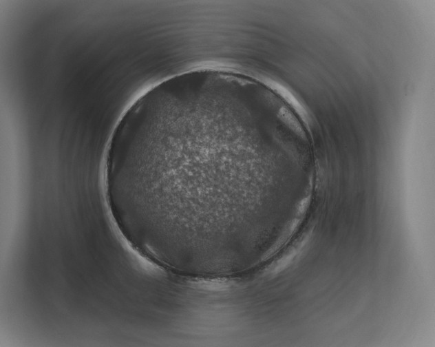 X0000112030999200908171447