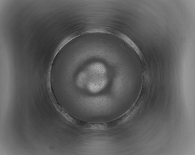 X0000112031002200908171447