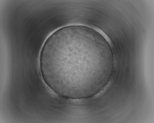 X0000112031004200908171447
