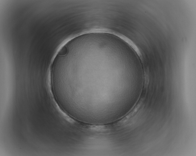X0000112031006200908171447