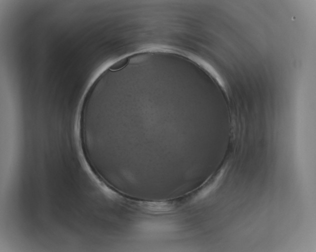 X0000112031007200908171447