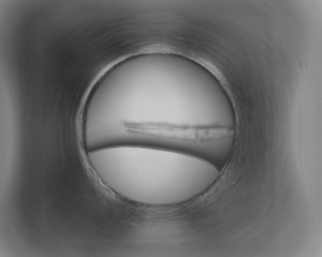 X0000112031008200908171447