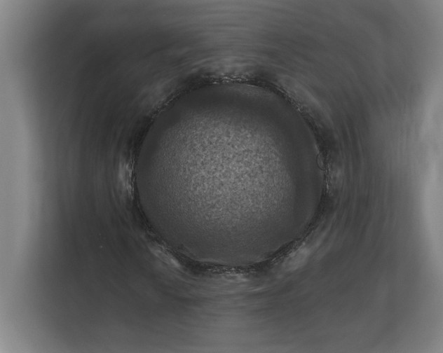 X0000112031010200908171446