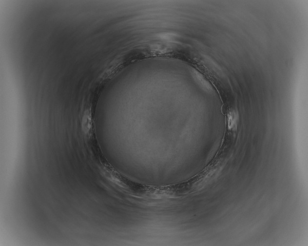 X0000112031011200908171446