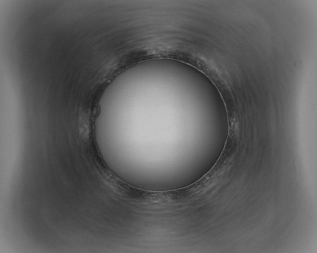 X0000112031012200908171446