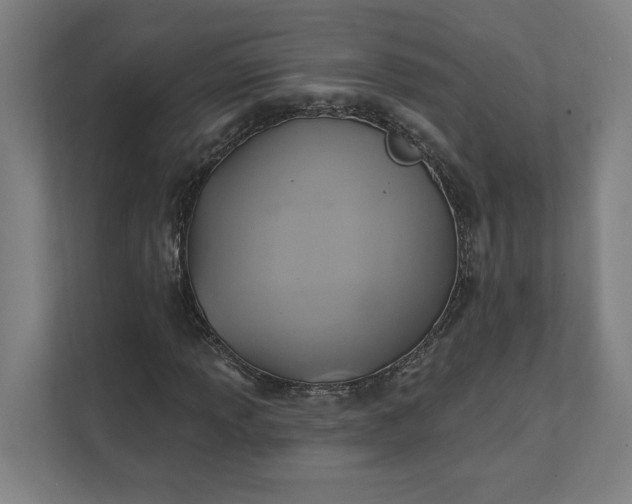 X0000112031013200908171446