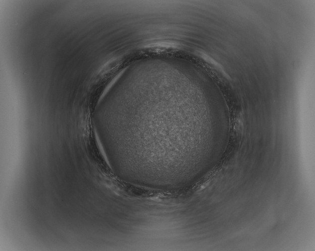 X0000112031014200908171446