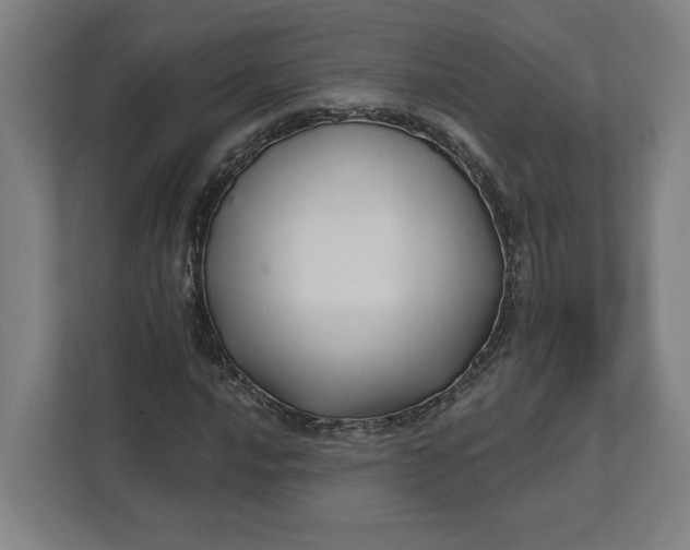X0000112031016200908171446